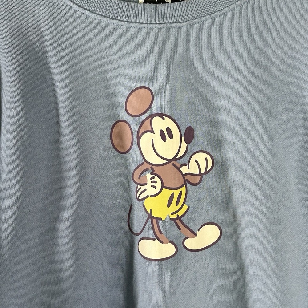 Mickey and Friends Genuine Mousewear Sweatshirt Cropped Fleece Pullover Medium